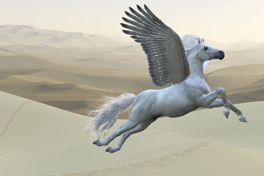 White Pegasus Horse - Pegasus is a mythical white divine stallion with long flowing mane and tail rises into the sky with powerful wings beats.