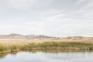 view of tecopa hot springs little pond in Mojave desert, Nenada