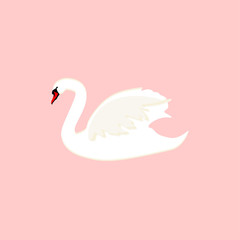 White swan vector