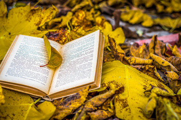 Naklejka na ściany i meble Old book in autumn leaves