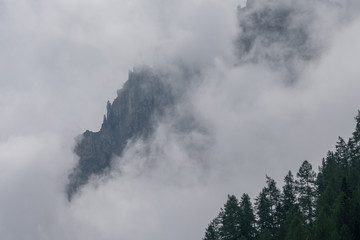 jagged mystical mountain ridge in the Swiss Alps in mist and fog with trees in the foreground