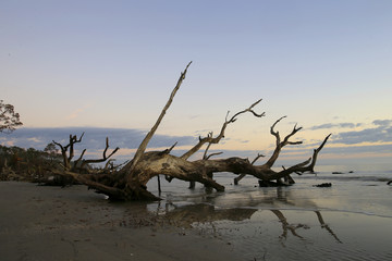 Jekyll Island, GA