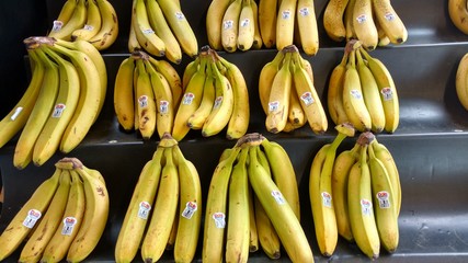 Bananas © Chuck