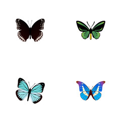 Obraz na płótnie Canvas Realistic Tropical Moth, Spicebush, Bluewing And Other Vector Elements. Set Of Beauty Realistic Symbols Also Includes Green, Bluewing, Black Objects.