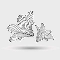Abstract floral background. Vector flower lily. Element for design.