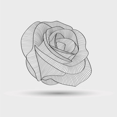 Abstract floral background. Vector flower rose.  Floral element for design.