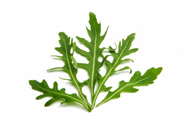 Leaves of arugula