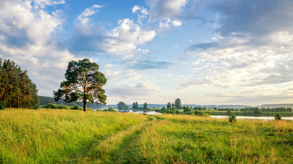 вечерний летний пейзаж с деревом на берегу реки, Россия, Урал © 7ynp100