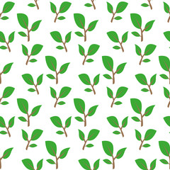 Green twig. Pattern.