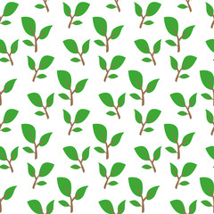 Green twig. Pattern.