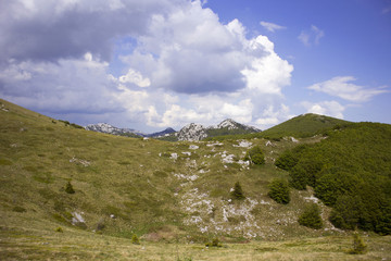 Fototapeta premium Plateau on Velebit mountain in Croatia