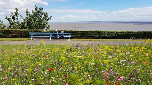 Rear view of a senior couple sitting on a bench on the Cliff Hill, Penarth, with beautiful wildflowers,  looking at the sea.