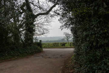 Exit road from rural property with look to the foggy meadow UK