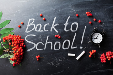 Back to school background on chalkboard and alarm clock.