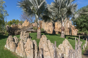 subtropische Landschaft