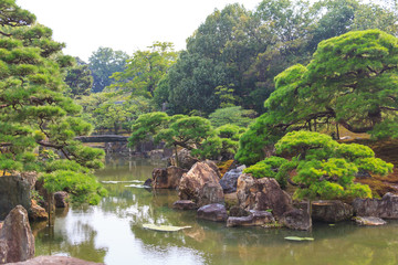 Fototapeta na wymiar Ninomaru garden, a traditional Japanese Zen garden in summer season with Bonsai trees, stones, pond and rock bridge