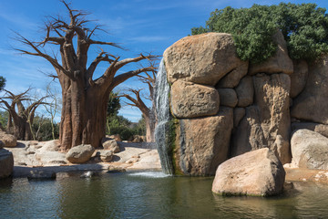 tropische Landschaft