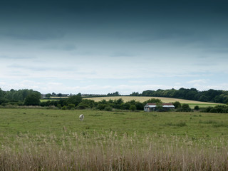 Fototapeta na wymiar english farm fields in the countryside UK