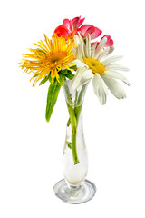 Bouquet of three flowers, chamomile, elecampane and geranium in a small transparent glass vase isolated on white background