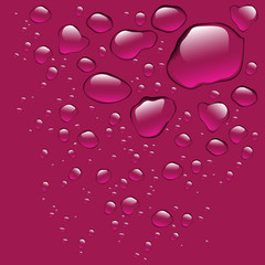 Realistic water drops isolated
