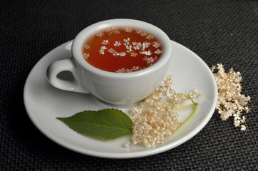 sambucus flowers fresh tea