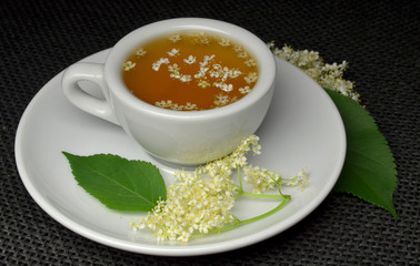 sambucus flowers fresh tea