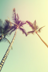 Summer Travel Vacation Concept. Beautiful Palms on Blue Sky Background.