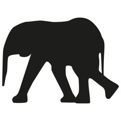 Vector image of a young elephant. Silhouette of the elephant.