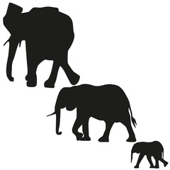 Vector image of an adult elephant and a young elephant. Silhouette of the elephant.