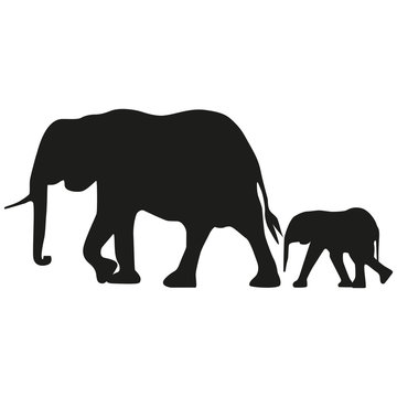 Vector image of an adult elephant and a young elephant. Silhouette of the elephant.
