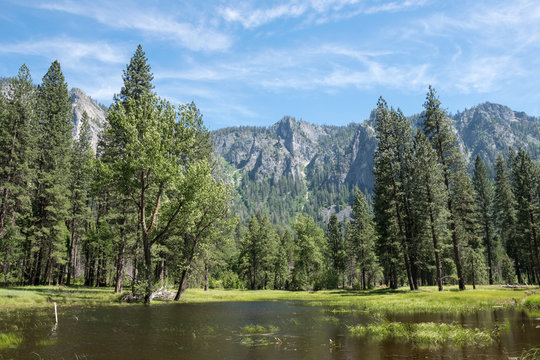 Meadows and lakes The Yosemite Valley in summer