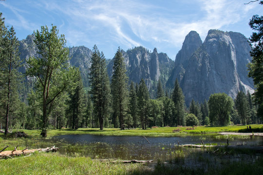 Flood meadows of the Yosemite Valley