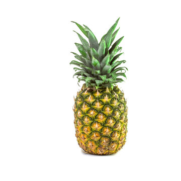 One large tropical sweet pineapple