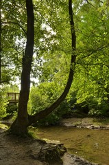 Obraz premium Park in Heepen, Bielefeld, Westphalia, Germany