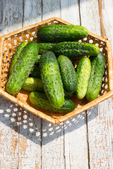 Cucumber basket on wooden background