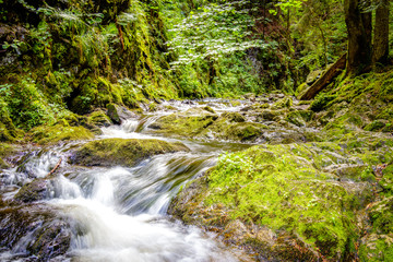 Ravenna Schlucht, nearby Freiburg im Breisgau in the black forest. You can find the valley when you drive from Hinterzarten to Freiburg.