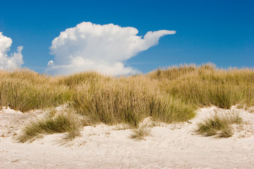 Rosignano, Castiglioncello,  Tuscany, Italy. White sands beach in Rosignano and blue sky and waves and beaches, Pietro bianca.