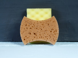 Sponge