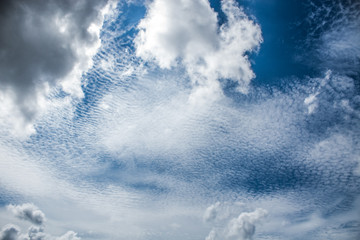 Fototapeta premium Summer Sky 1