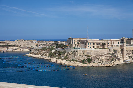 Aquakultur vor Kalkara auf Malta