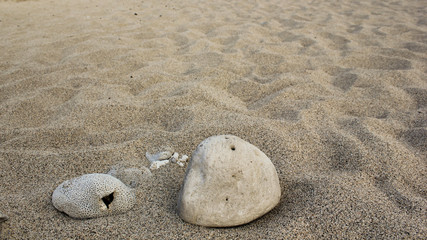 Fototapeta na wymiar Shells and pebbles in sand