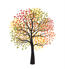 Autumn tree with falling leaves