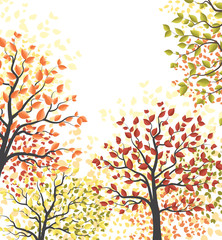 Autumn multicolored forest