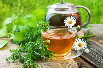 Tea with healing daisy