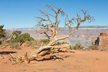 Grand Canyon 2017