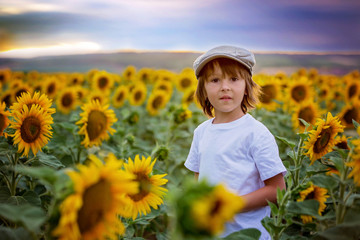 Cute child with sunflower in summer sunflower field on sunset.