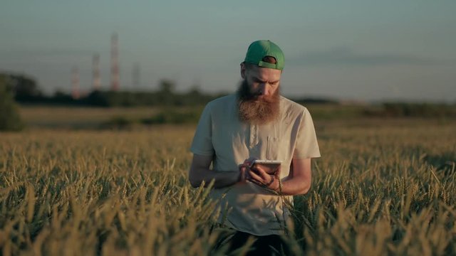 Farmer Walks Through the Fields With Crops, and Writes the Result to Digital Tablet, Agronomist Use of Advanced Technologies in Agriculture