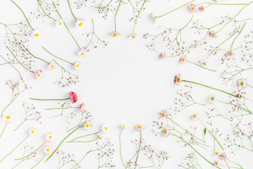 Flowers composition. Floral frame made of pink gypsophila flowers and daisy flowers on white background. Flat lay, top view, copy space