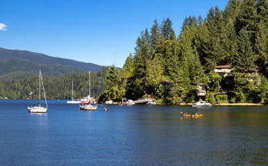 The village on the slope in North Vancouver  British Columbia, bay,  coastline   and  forest Marina yachts and kayaking 