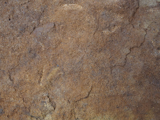 old natural sandstone organic texture - soft beige background